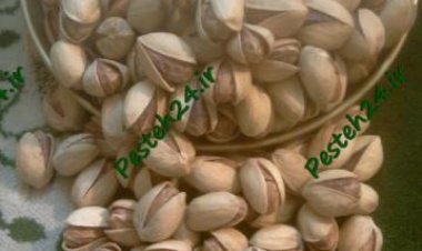 پسته فندقی رفسنجان